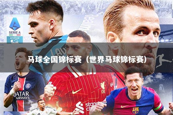 马球全国锦标赛（世界马球锦标赛）