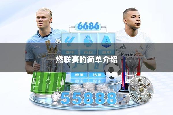 燃联赛的简单介绍